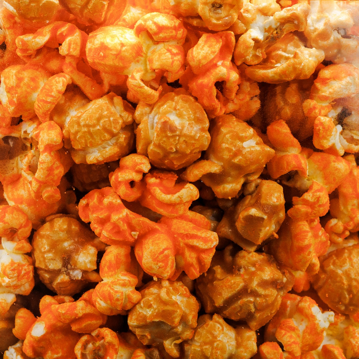K-zoo Corn